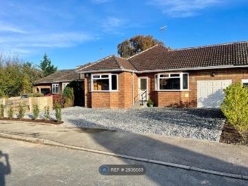 Sycamore Drive, Twyford, Reading RG10, 3 bed bungalow to rent, £2,950 pcm | PrimeLocation