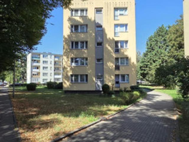Szczecin, Floriana Szarego