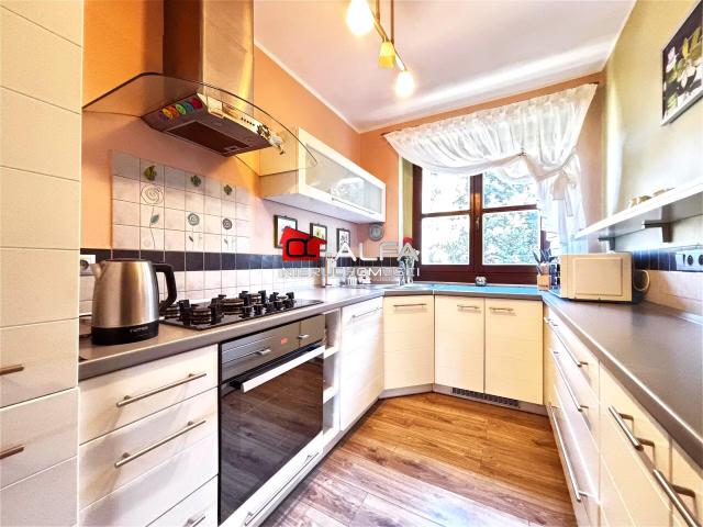 Szczegóły Mieszkanie Wynajem, świdnicki Świdnica, Numer oferty: 77430W
