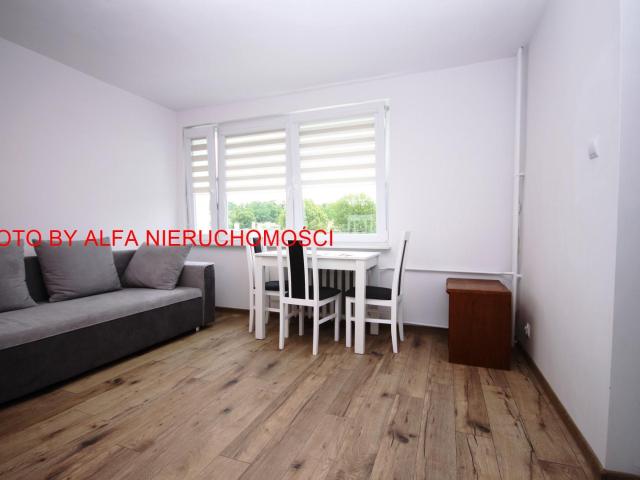 Szczegóły Mieszkanie Wynajem, świdnicki Świdnica, Numer oferty: 77723
