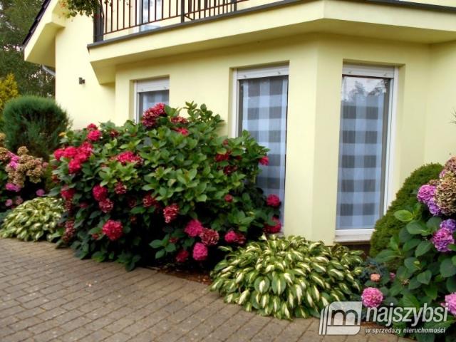 Szeregowiec w Pobierowie z 6 apartamentami i ogrodem