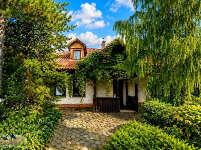 Szkolna 415,78 m², Dąbrowa Tarnowska